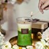 Picture of White Jasmine, Home Lights 3-Layer Highly Scented Candles 